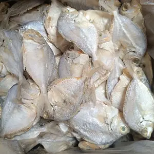 ikan asin petek besar atau pepetek