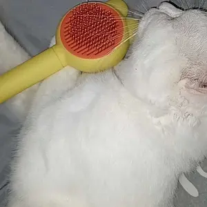 FOCAT X Sisir Grooming Anabul F14 Pet Comb Brush / Sisir Perawatan Bulu Hewan Peliharaan anjing & kucing