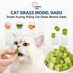 Pawsitive Vibes Cat Grass Dadu - Snack Rumput Kucing - Cat Grass Premium Grass Wheatgrass dengan Daging Segar - Cemilan Beku untuk Hewan Peliharaan - Snack Kucing Campuran Catnip catnip
