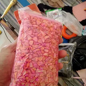 Benih Bibit Jagung Manis Madu Premium Golden - Kemasan 250-500-1000 Gram Bunga Gantung