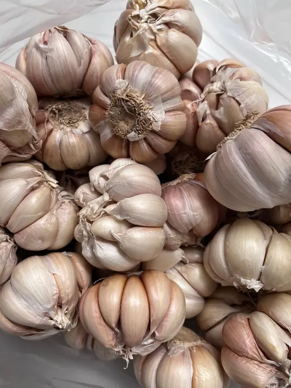 Bawang Putih 500gr 1/2kg Baput BP Bersih Banci Honan Fresh Garlic - Loka Pangan 3