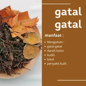 Jamu Godok Herbal Alami Gatal-Gatal Kudis Bisul