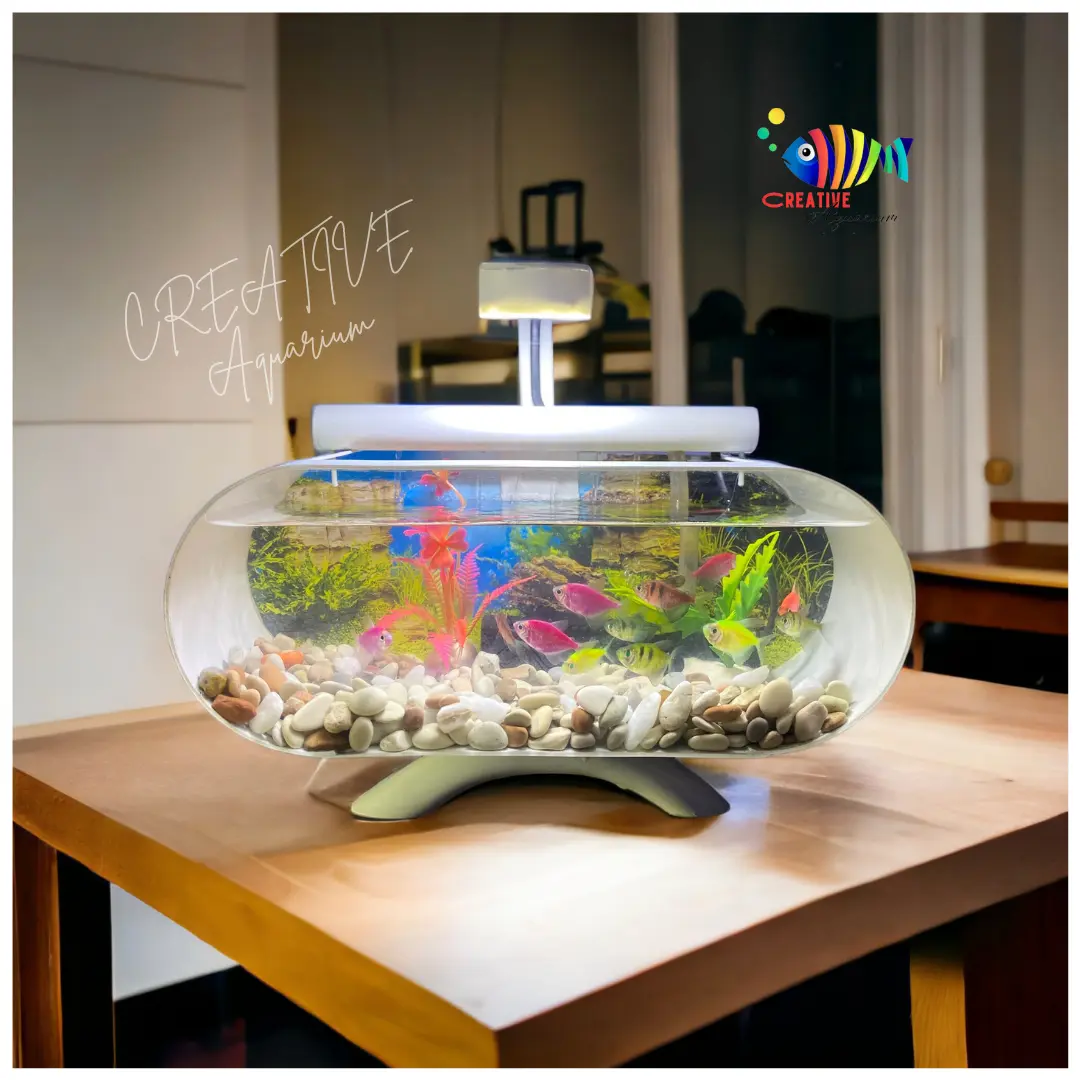[PROMO] 1 Set lengkap aquarium mini kaca akrilik lengkap dengan mesin oxygn filter sirkulasi dan aksesoris lampu led 7 watt (B001)