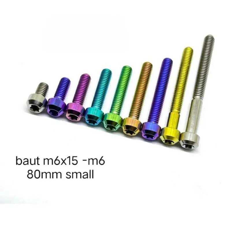 Baut Titanium M6 drat 10 Model Small Head original vietnam 0