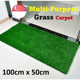 [SG Seller] Grass Carpet Multi Purpose Occasion Entrance Balcony Pet Toilet Training Corridor BTO
