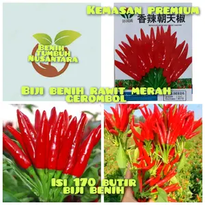 (SP) 170 butir biji benih rawit merah gerombol (kemasan premium Impor)