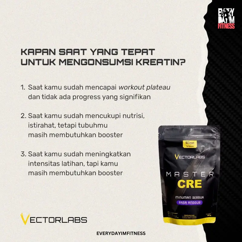 VECTORLABS MASTER CRE 300 GRAM - CREATINE MONOHYDRATE 60 SERVING BY VECTORLABS - EVERYDAYIMFITNESS 2