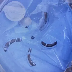 Roda Lari Hamster Kokoh Senyap Anti Slip Tiang Penyangga Hamster Running Wheel Silent With Stand