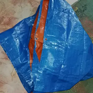 terpal kolam ikan plus pembuangan 300cm x 100cm x50cm  /3x1x50 / 300x100x50