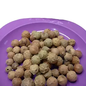 Biji Buah Manjakani 100gr