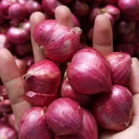 Bawang merah sedang kering 1kg bumbu masak 4