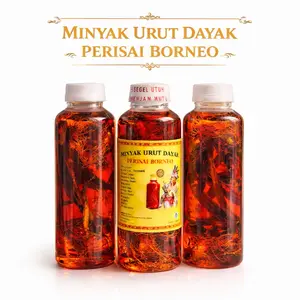 Minyak Urut Dayak Asli Kalimantan Perisai Borneo