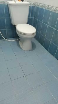 Product Review of 【inemjogja X Logeski】Logeski pembersih kerak wc Toilet Bowl Cleaner memiliki daya pembersihan yang tinggi. Tidak perlu menggosok dengan keras. Membersihkan toilet, mendisinfeksi dan membersihkan 99,9% from y**2 2