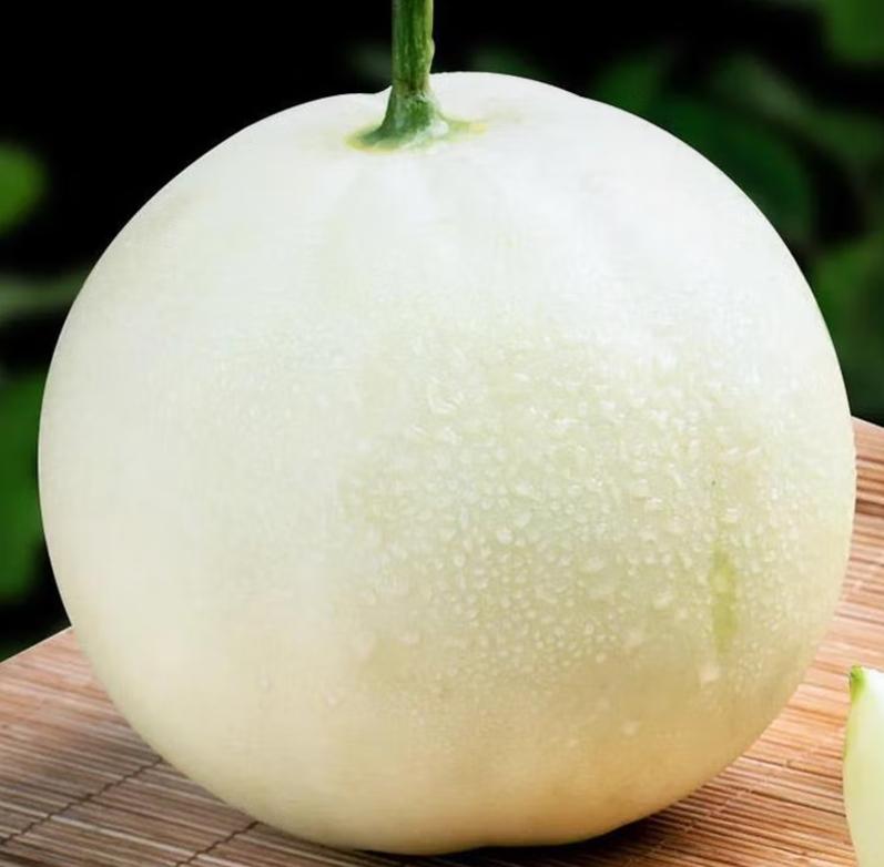 Snow milk fragrant white skin melon seed seed seed seedlings old varieties melon fruit super sweet yellow skin seed seedlings snow milk fragrant melon seed 0