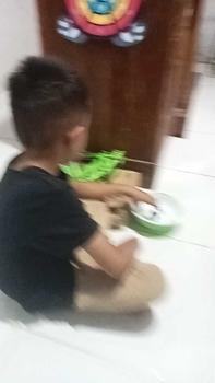 Product Review of [IM] Mainan Panah Target Bola Lengket Dan Lembut / Mainan Panah Tembak Target / Fun Archer Shotting Soft Ball Anak from y**s 0