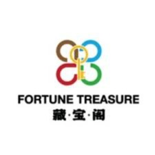 Fortune Treasure