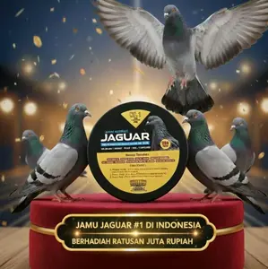 JAMU MERPATI JAGUAR  ISI 100 BUTIR ADA UANGNYA DI DALAM BOTOL