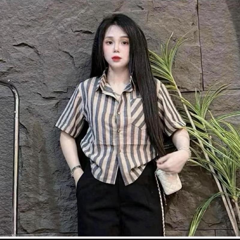Sét bigsize nữ ( có bán lẻ) áo sơ mi kẻ basic dáng vừa vải linnen xước mềm chất xịn thoải mái , kèm quần đùi dáng A thoải mái ( A288 Q500 ) Đậu bigsize