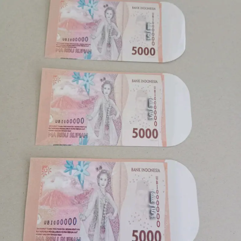 50 lembar... amplop lebaran motif gambar duwit mainan 5 rb 2