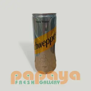 SCHWEPPES SODA WATER 250ML