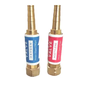 [STOK READY] Flashback Arrestor Regulator Torch Oxygen Acetylene Flash Back Oxy Ace LPG Tabung