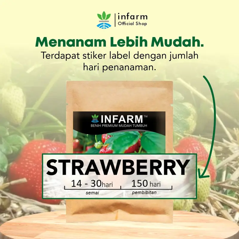 Benih tanaman Buah Strawberry isi 50 butir  Infarm 3