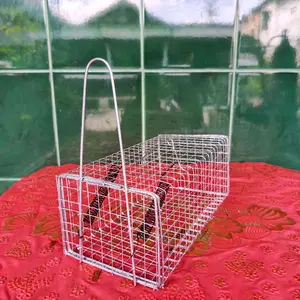 Perangkap Tikus Jebakan Tikus Kawat Besi Galvanis Anti Karat dengan 2 Buah Pir Pegas Kuat dan Aman Digunakan untuk Pengendalian Hama