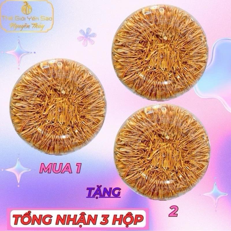   Mua 1 + Tặng 2  - Tổng 3 Hộp: Mỗi Hộp 30gr Nấm Đông Trùng Hạ Thảo Xô 