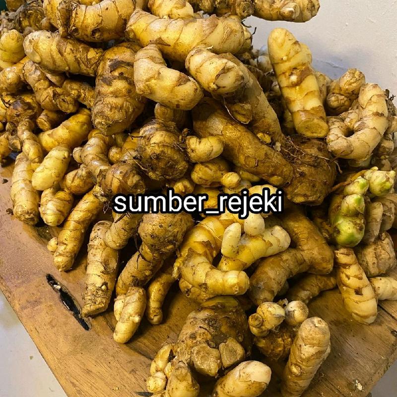Temu Putih Segar Kunyit Putih 1KG - Bahan Alami untuk Pencernaan - Shop ...