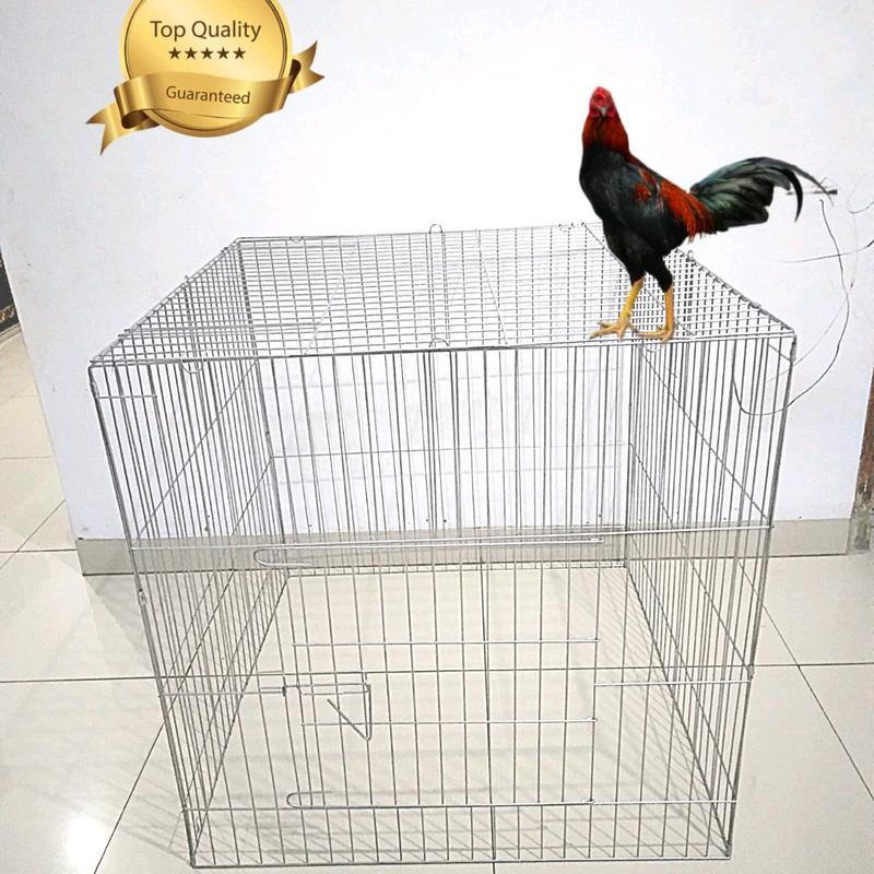 KANDANG KURUNGAN AYAM BESI LIPAT PERSEGI 80×80×80 2