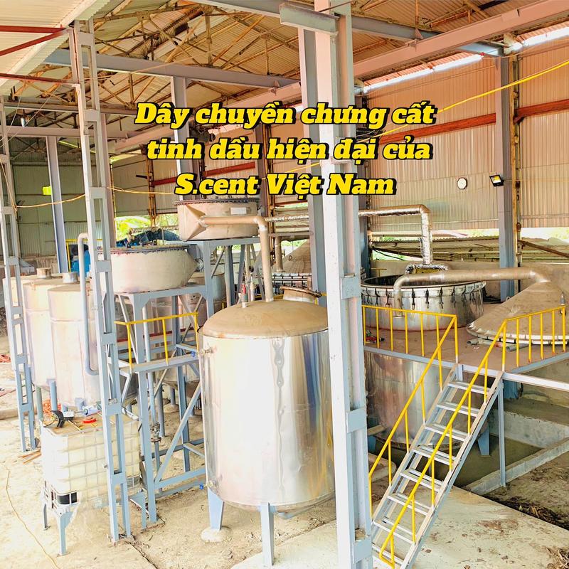 [NƯỚC HOA Ô TÔ] Nước hoa ô tô thiên nhiên cài cửa gió điều hòa- Hương Fresh ( Tươi mát) 9