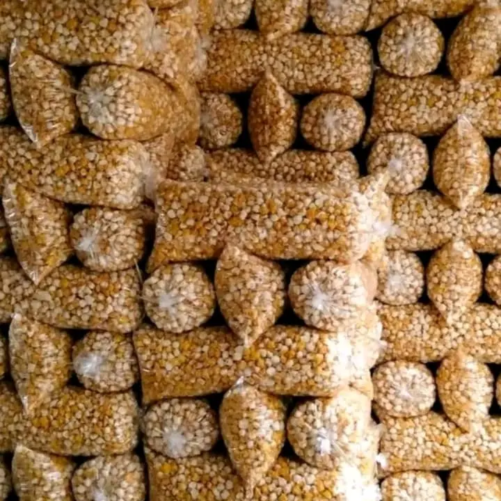 500 GRAM SIOMAY MINI Snack Food Makanan Keripik 2