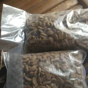 Makanan kucing bolt ikan 100GR paket hemat