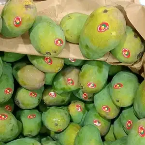 mangga harumanis super manis besar y