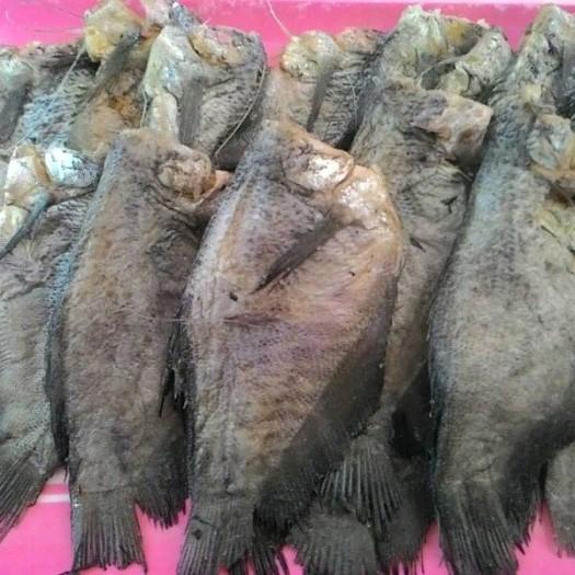 ikan asin sepat ukuran sedang tanpa pengawet 1