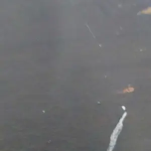 【COD】XMVP Latihan kebugaran roda perut rebound otomatis novel berwarna-warni Kursi Lari