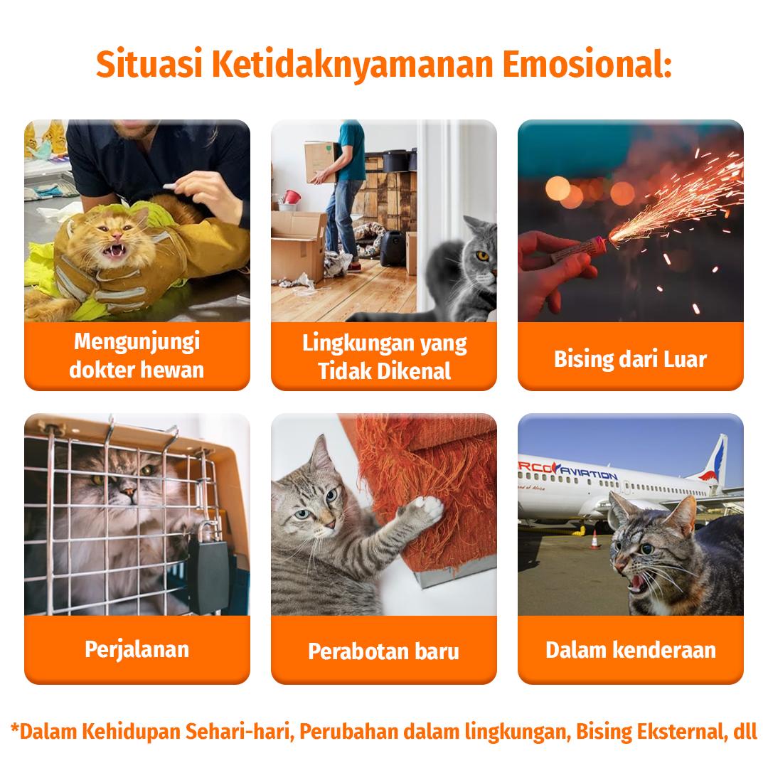 Cassiel Pet Estrus Suppressant Tablets Tablet Penekan Estrus Untuk Menenangkan Melolong Mengurangi Kecemasan Menenangkan Suasana Hati Anjing & Kucing Cassiel Pet Estrus Suppressant Tablets Tablet Penekan Estrus Untuk Menenangkan Melolong Mengurangi Kecemasan Menenangkan Suasana Hati Anjing & Kucing