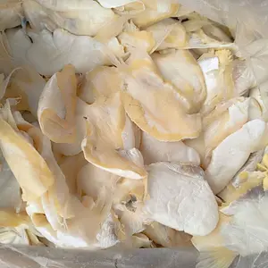 ikan asin patin super lezat food Frozen