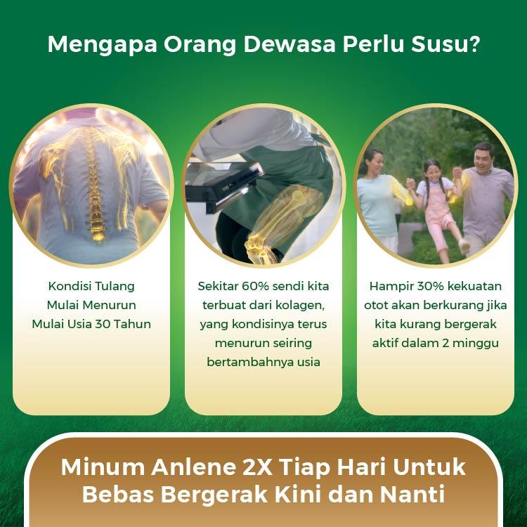 [PROMO 2 PCS] Anlene Gold 5X Susu Bubuk Dewasa Cokelat 600g - Kuatkan Tulang, Sendi & Otot / Adult Milk Chocolate / Dairy Milk 1