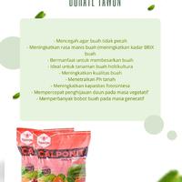 Gambar Pupuk Calponit merah Kno3 plus kalsium boron 2kg untuk pertumbuhan tanaman dari Baroya Tani Kab. Kediri 2 Tokopedia