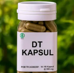PROMO DT KAPSUL ISI 60 BUTIR ORIGINAL DAN AMPUH GARANSI UANG KEMBALI