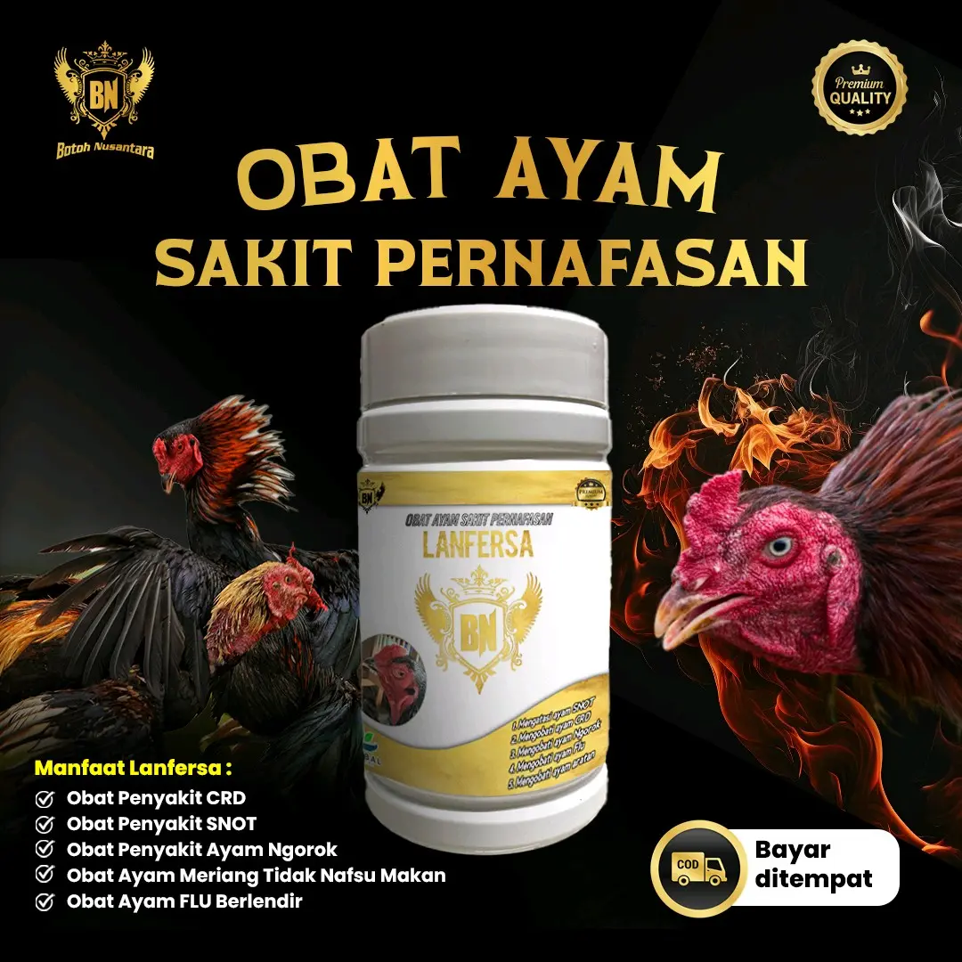 Obat ayam ngorok & flu LANFERSA Mengobati ayam sakit ngorok snot CRD pilek herbal alami ampuh