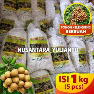 NUSANTARA BOOSTER LENGKENG ORIGINAL NUSANTARA – Formula Andalan Petani Kelengkeng untuk Bunga & Buah Lebih Optimal – Paket 1kg Isi 5pcs / 250gr Isi 20pcs – BISA COD