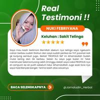 Gambar Propolis SM Herbal Tetes Telinga Kotoran Keras Pelunak Kotoran Telinga Penghancur Kotoran Telinga Keras Telinga Tersumbat Telinga Berair Telinga Berdengung Congek Tetes Telinga Anak Sakit Telinga - ProPolis SM dari Rino Herbal Shop Kota Administrasi Jakarta Barat 2 Tokopedia