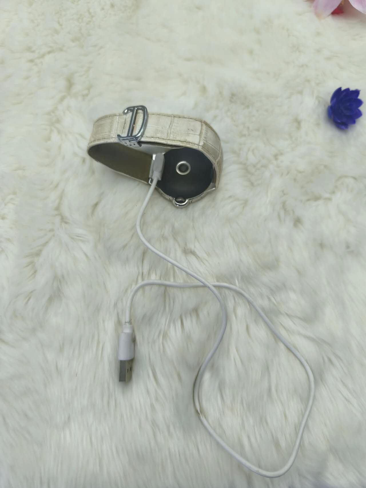 Pengisi daya jam tangan pintar, model F12A55W28