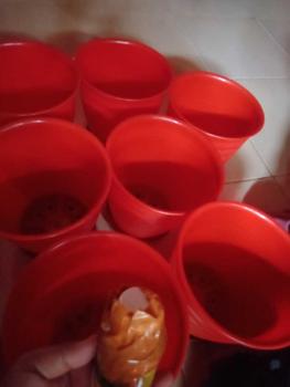 Product Review of (1 pcs) 1 SET POT TIRUS UK 20 CM + TATAKAN (SEPAKET) from u**i 1