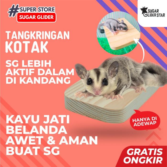 EXKSTRA NEW! Tangkringan Kotak Kandang Sugar Glider Burung Mainan Chincila - Kayu 0