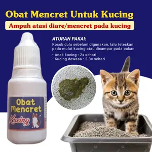 Obat Mencret Untuk Kucing | Ampuh Atasi Diare/Mencret Pada Kucing