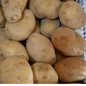 kentang dieng ukuran kentang PL 1 kg dan 500 gram