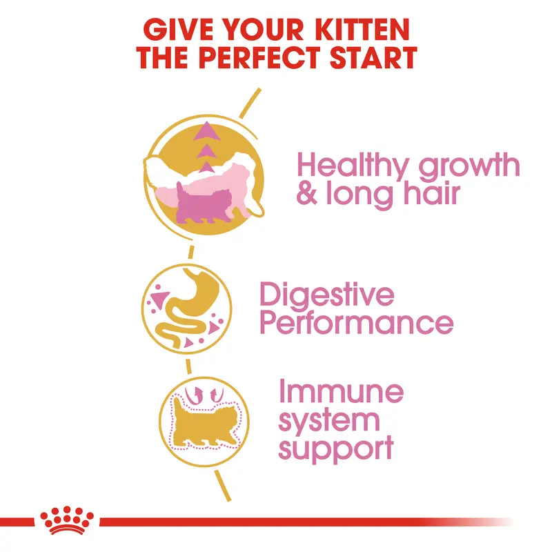 ROYAL CANIN KITTEN PERSIAN 2 KG DRY MAKANAN ANAK KUCING - START OF LIFE 3